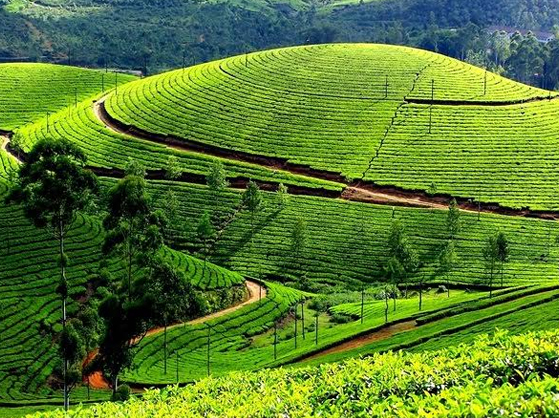 Munnar